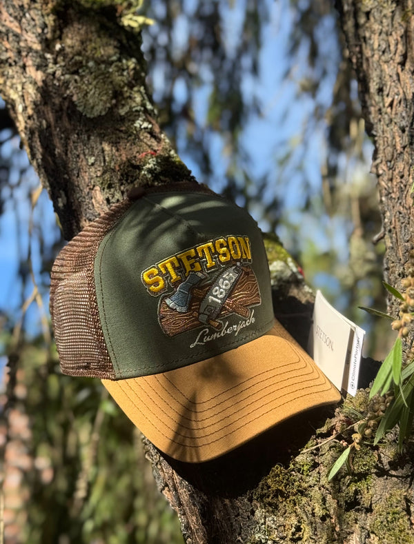 STETSON VERDE Y MARRÓN